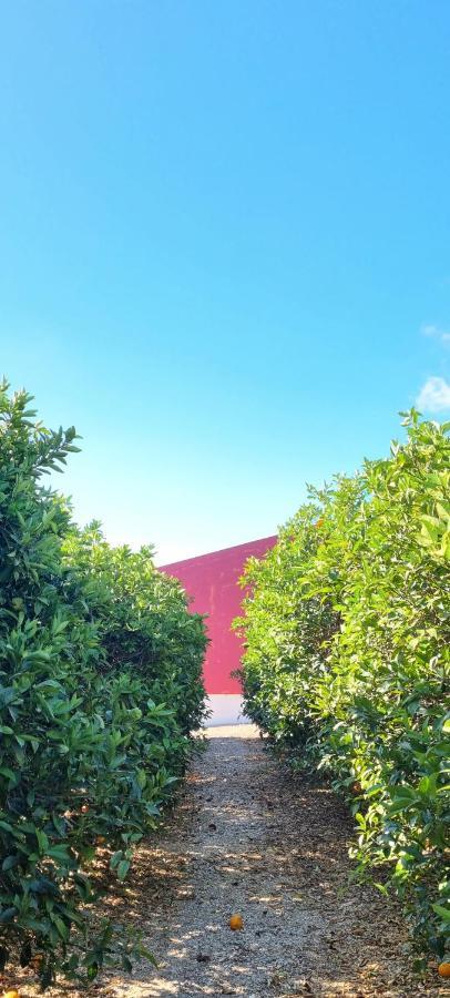 Quinta Dos I'S - Algarve Villa Ferrarias  Exterior foto