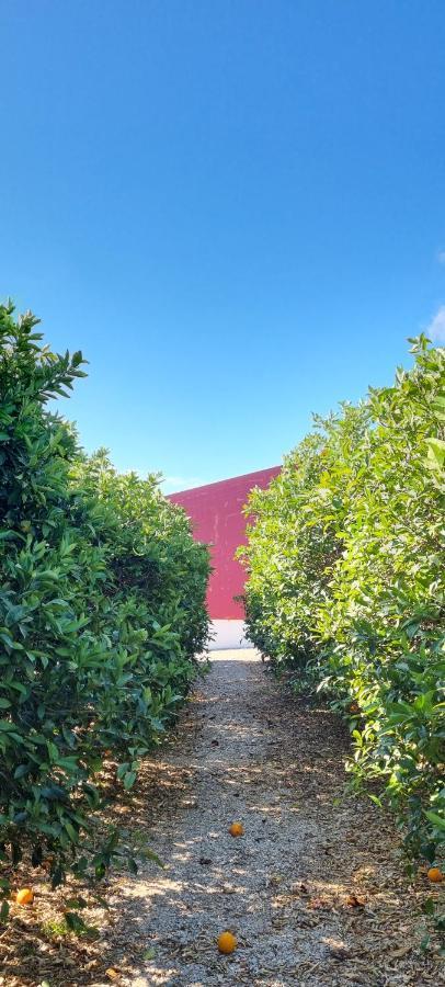 Quinta Dos I'S - Algarve Villa Ferrarias  Exterior foto